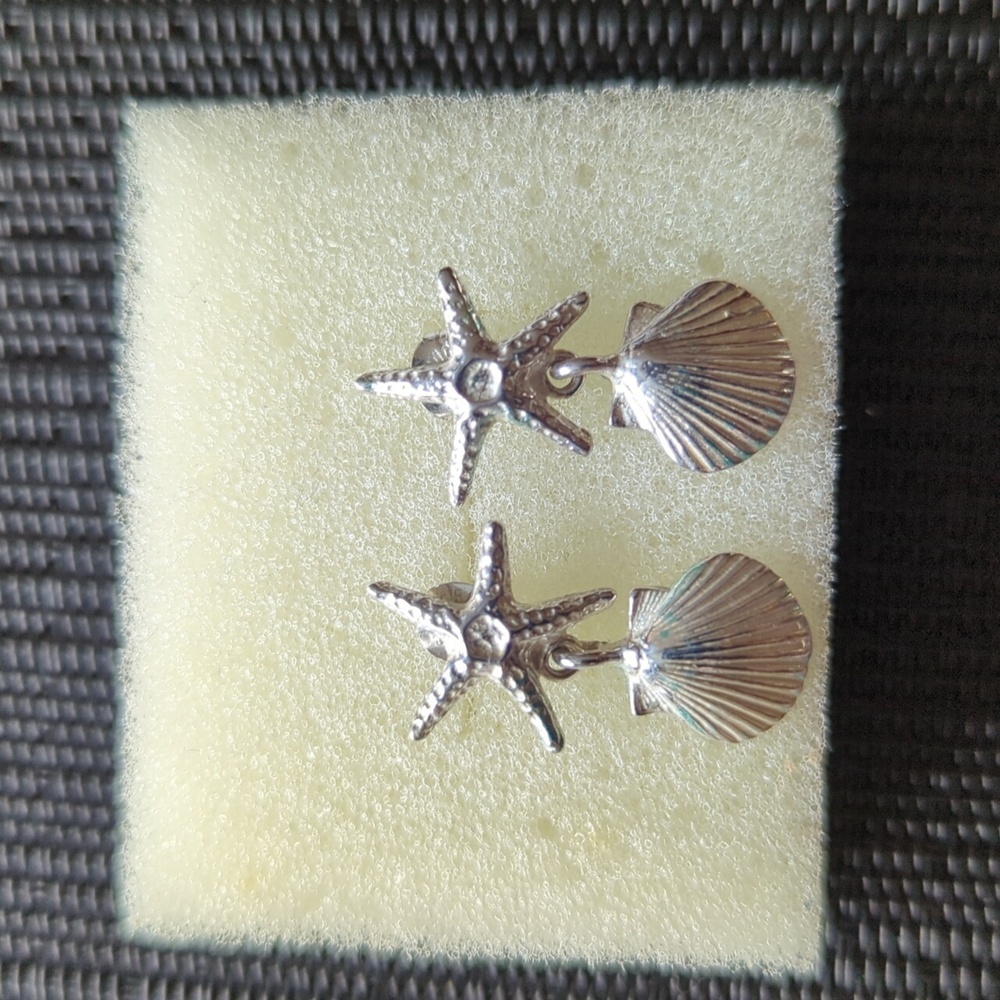Silver Coastal Design Post Earrings